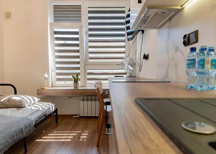 Komfortowe Scisle Centrum Lejlighed *