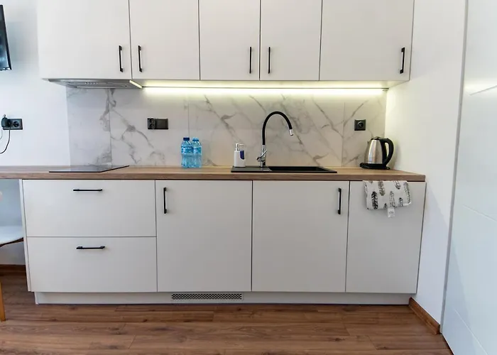 Komfortowe Scisle Centrum